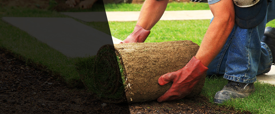 West Memphis Landscapers